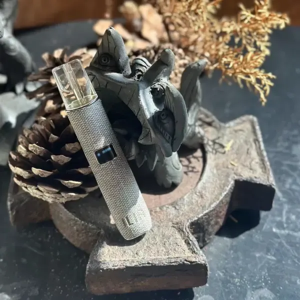 ILIA哩亞 皮革主機