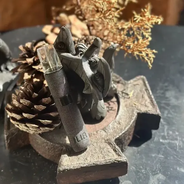 ILIA哩亞 皮革主機