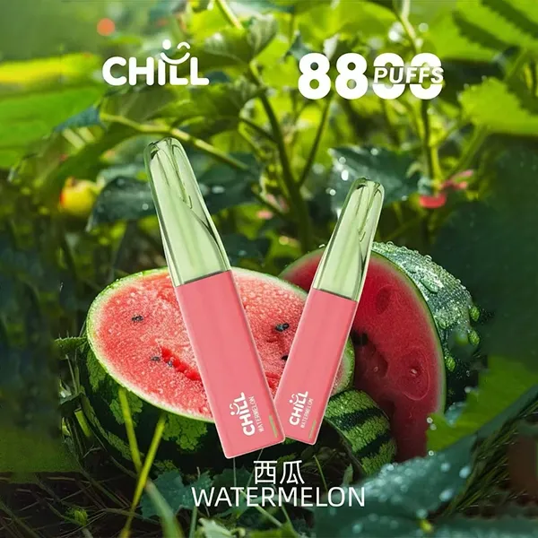 CHILL始祖鳥 鴨嘴獸 拋棄式電子煙 8800口