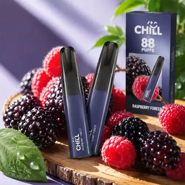 CHILL始祖鳥 鴨嘴獸 拋棄式電子煙 8800口