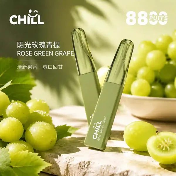 CHILL始祖鳥 鴨嘴獸 拋棄式電子煙 8800口